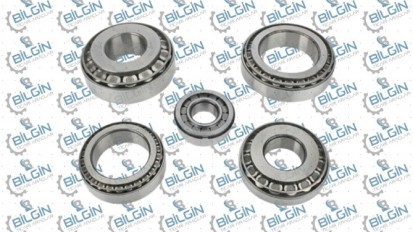 DEFRANSİYEL BİLYA TAKIMI 550813