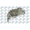 DAF 105 SERİSİ YAĞ POMPASI-1698645